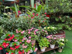 -山水茶艺馆·点心粤菜·30年老字号