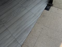 -汇乐游泳馆(莲花南路店)