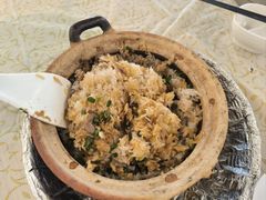 -百利鸽王(紫薇路店)