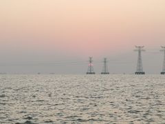 -宝安西湾红树林湿地公园