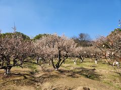 -白马涧龙池景区