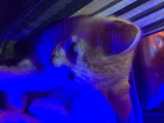 星宿秘码咖啡小酒馆(星宿秘码)-星宿秘码(鼓浪屿老店)