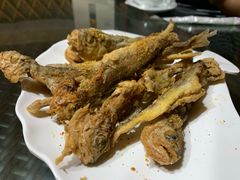 -草根堂农场