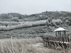 -东白山