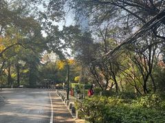 -北极阁公园