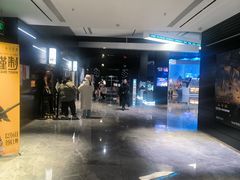 -奥斯卡升龙国际影城(RealD Cinema)