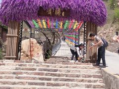 -爱情山风景区