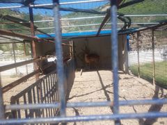 -山西乌金山旅游区