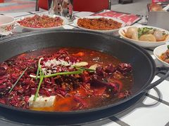 -朱光玉火锅馆(正弘城店)