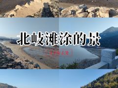 -北岐滩涂