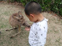-野生动物园-停车场
