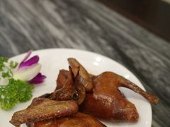 -鸽鸟轩(石岐店)