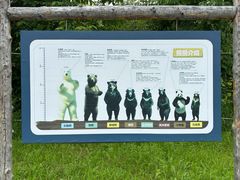 -黑瞎子岛探秘野熊园