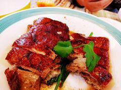 椿记烧鹅-椿记烧鹅(叠彩店)