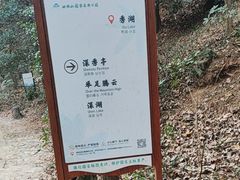 -四明山国家森林公园
