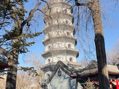 -哈尔滨极乐寺