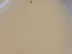 -森谷美食公园(杨行店)