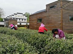 -龙湖东院农庄(乡间小路店)