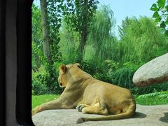 -北京野生动物园