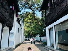 -院子餐厅·大锅菜·老杭帮(桥西直街店)