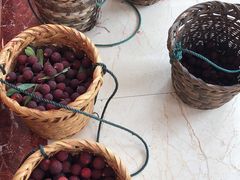 -西山樟坞健康果园枇杷杨梅采摘