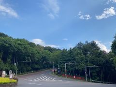-铁山坪森林公园