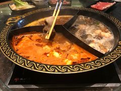 -苏州金科大酒店