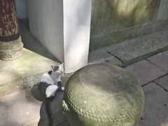 -宁波市保国寺古建筑博物馆