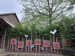 -大湾区中央湿地公园