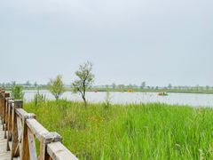 -野鸭湖国家湿地公园