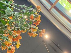 -VESH COFFEE(定西路店)