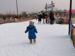 -绿野森林乐园冰雪季