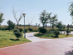 -鹦鹉洲湿地公园