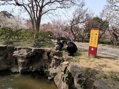 -无锡梅园公园