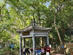 -羚羊峡古栈道森林公园