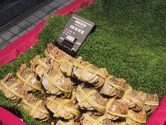 -海鲜e族(马王堆店)