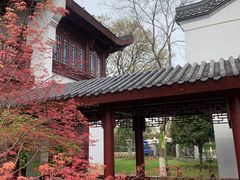 -堤角公园