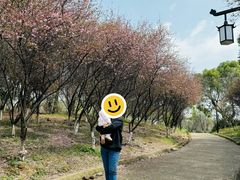 -八大山人梅湖景区