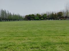 -合肥滨湖国家森林公园