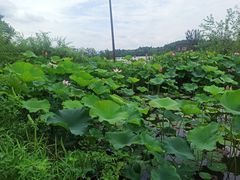-池州市平天湖风景区