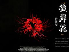 -西安大兴善寺
