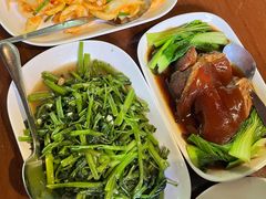 -绿光森林餐厅