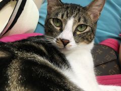 -VESH COFFEE(定西路店)