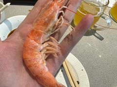 -大锅强·蒸海鲜青岛菜(吾悦广场店)