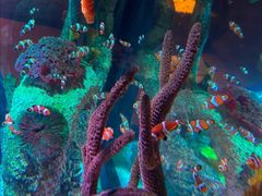 -沈阳海洋探索中心