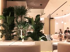 -théATRE 茶聚场(王府中環店)