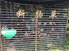 -广州神农草堂中医药博物馆