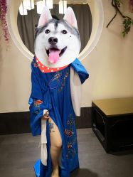 -盘子女人坊古装写真摄影(天津总店)