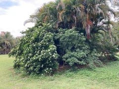 -白沙门生态公园