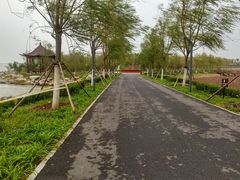 -东丽湖风景区